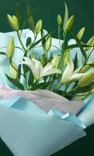 «Аквамарин»