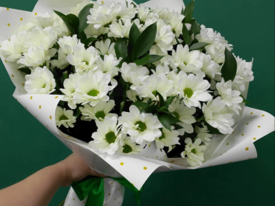 «Полевая ромашка»