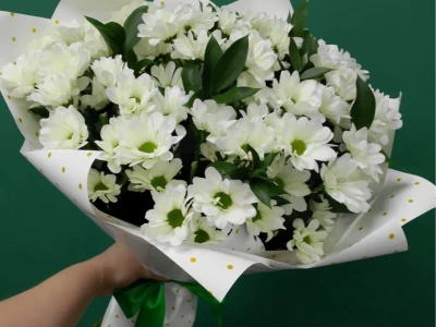 «Полевая ромашка»