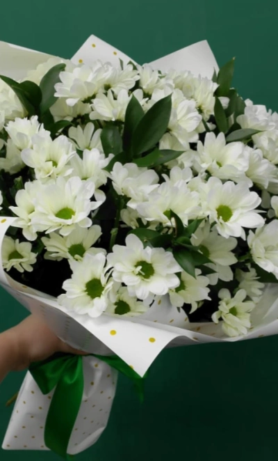 «Полевая ромашка»