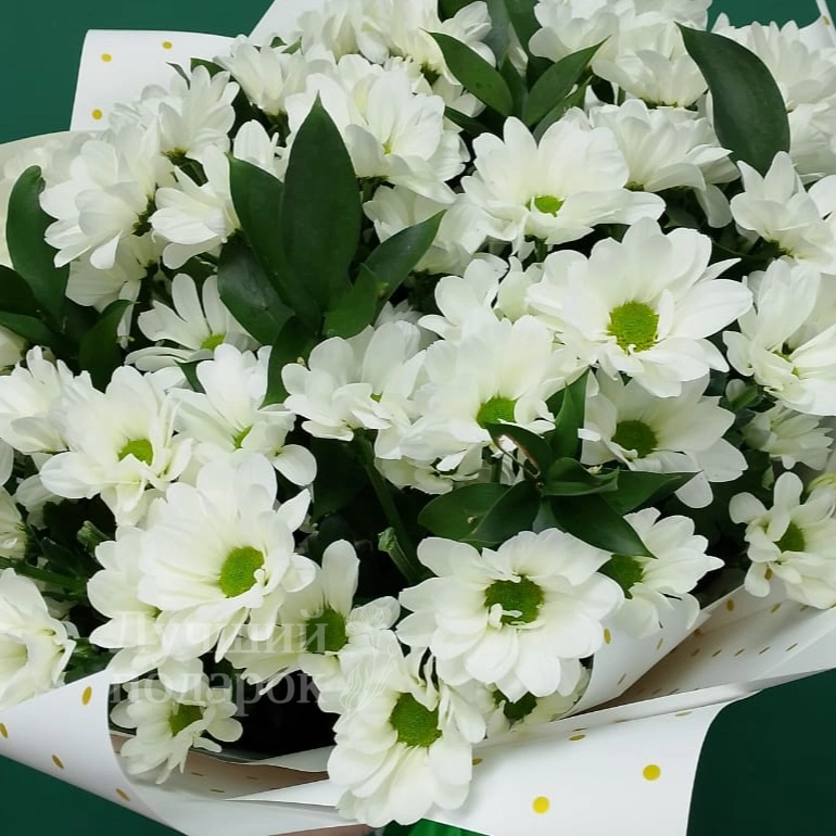 &laquo;Полевая ромашка&raquo;