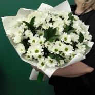 &laquo;Полевая ромашка&raquo; 1