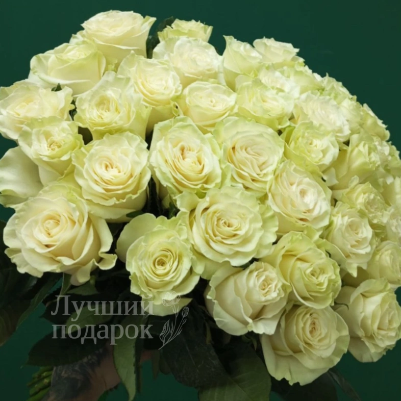 &laquo;Для моей королевы&raquo;