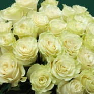 &laquo;Для моей королевы&raquo; 2