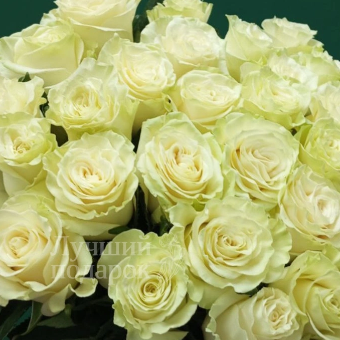 &laquo;Для моей королевы&raquo;