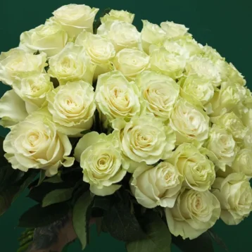 «Для моей королевы»