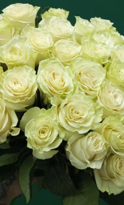 «Для моей королевы»