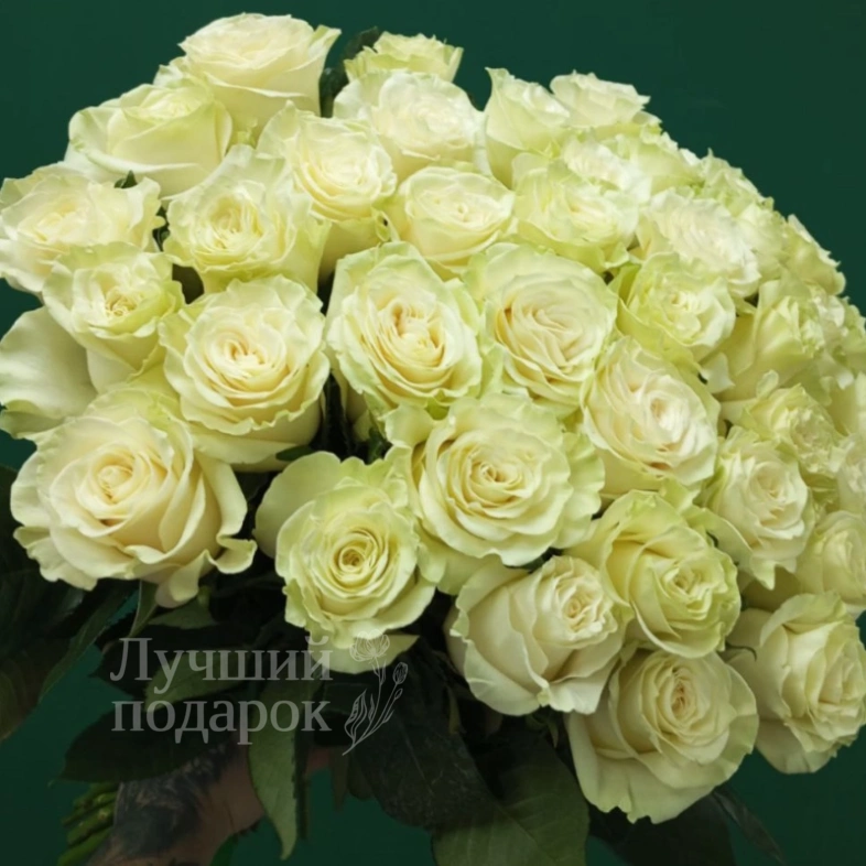 &laquo;Для моей королевы&raquo;