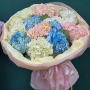 Гортензия  &laquo;Радуга в облаках&raquo; 4