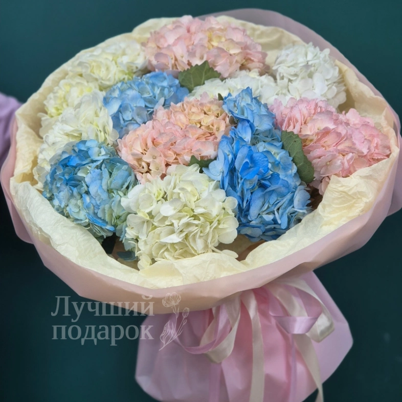 Гортензия  &laquo;Радуга в облаках&raquo;