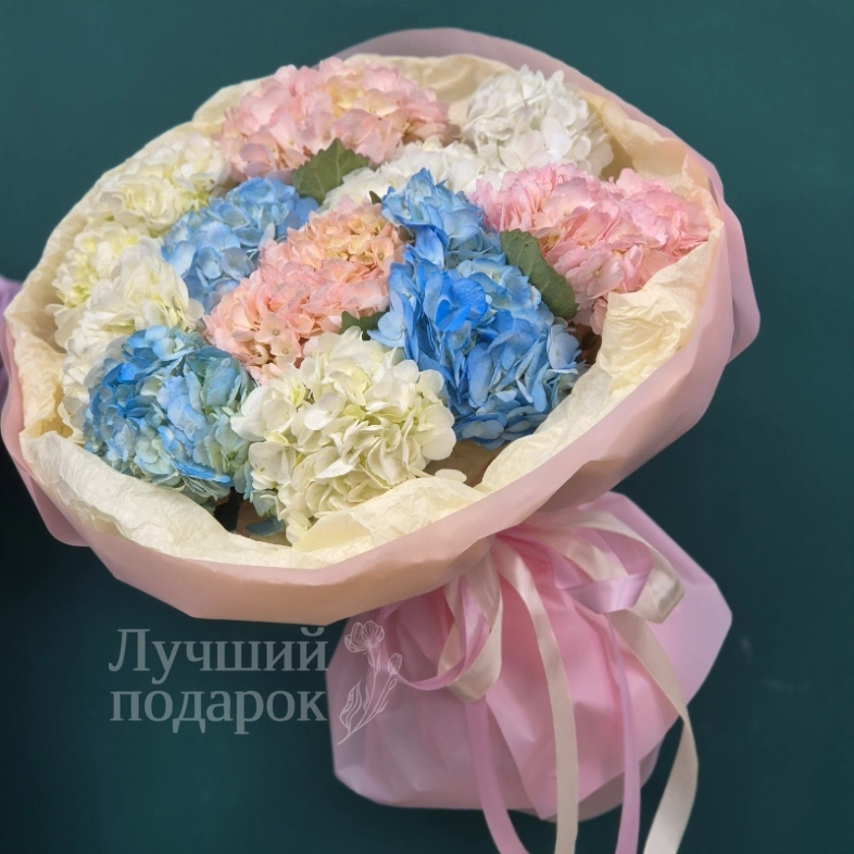 Гортензия  &laquo;Радуга в облаках&raquo;