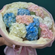 Гортензия  &laquo;Радуга в облаках&raquo; 2