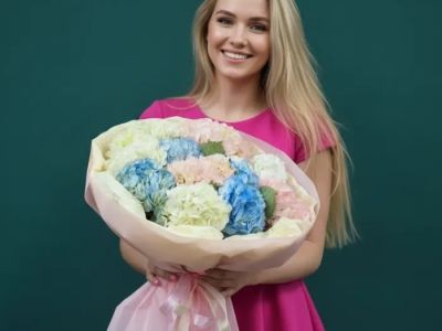 Гортензия  «Радуга в облаках»