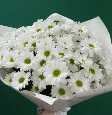 «Ангельские глазки»