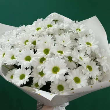 «Ангельские глазки»