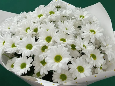 «Ангельские глазки»