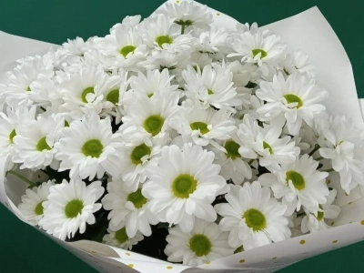 «Ангельские глазки»