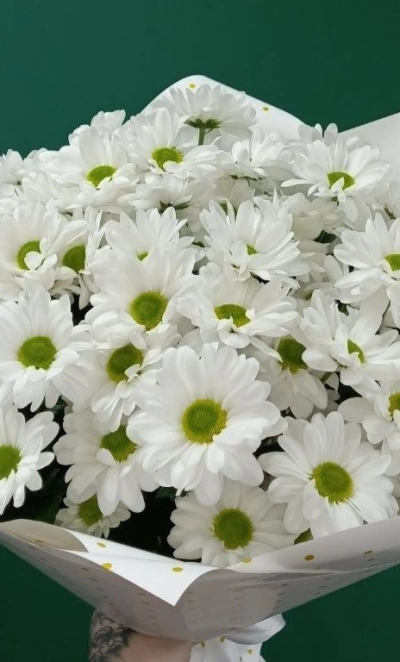 «Ангельские глазки»