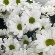 &laquo;Ангельские глазки&raquo; 1