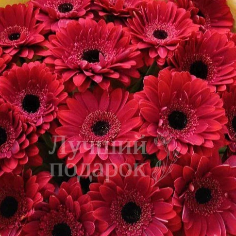 &laquo;ДНК страсти&raquo;