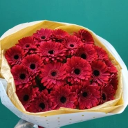 &laquo;ДНК страсти&raquo; 0