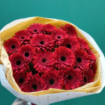 «ДНК страсти»