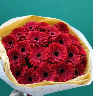 «ДНК страсти»