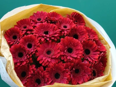 «ДНК страсти»