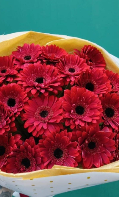 «ДНК страсти»