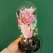 Роза в колбе - ночник 4