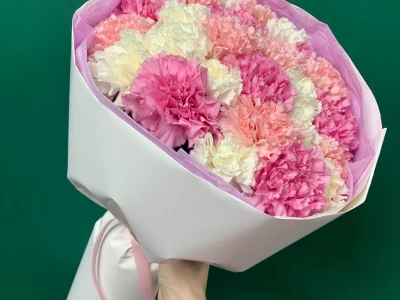 Букет из  диантусов «Зефирки»