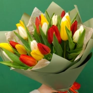 Тюльпаны &laquo;8 марта&raquo; 2