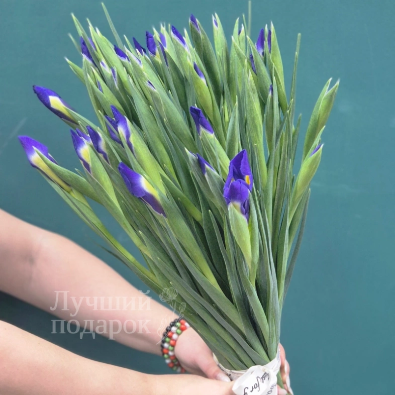 Букет из ирисов  &laquo;Бабочка&raquo;