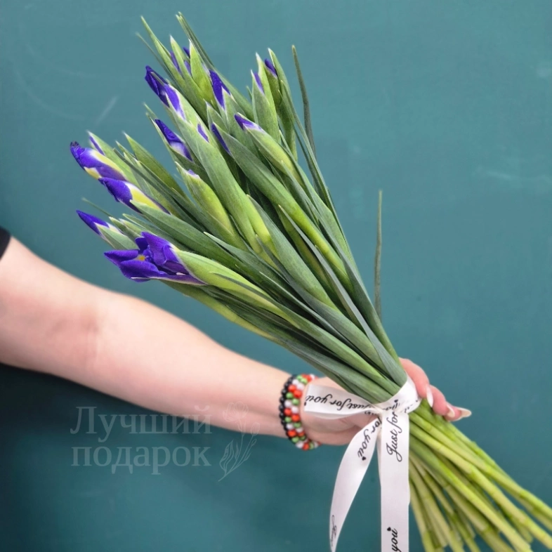 Букет из ирисов &laquo;Ириска&raquo;