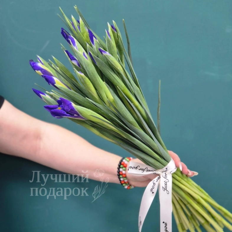 Букет из ирисов &laquo;Ириска&raquo;