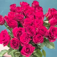 Красные розы &laquo;Бархат&raquo; 1