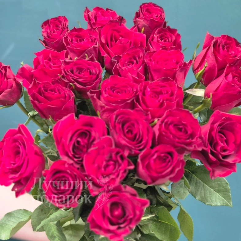 Красные розы &laquo;Бархат&raquo;