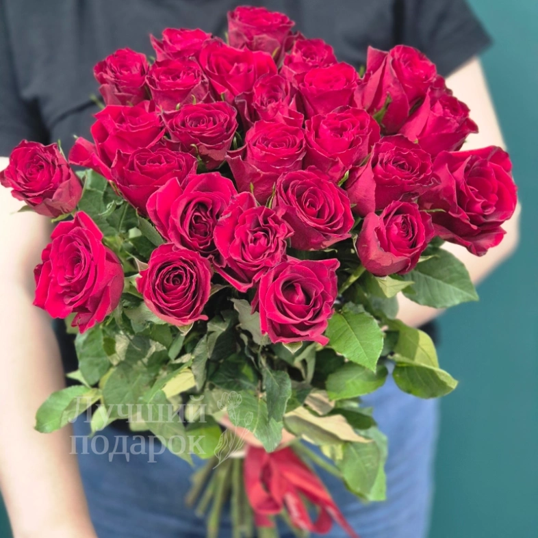Красные розы &laquo;Бархат&raquo;
