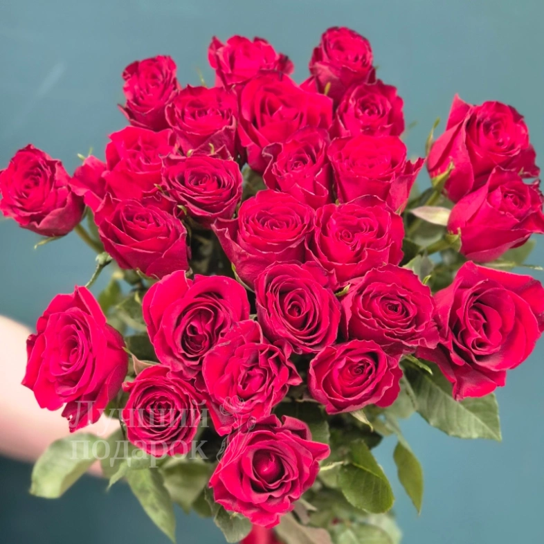 Красные розы &laquo;Бархат&raquo;