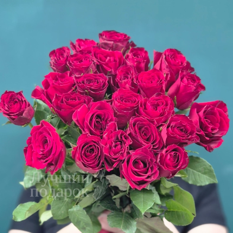 Красные розы &laquo;Бархат&raquo;