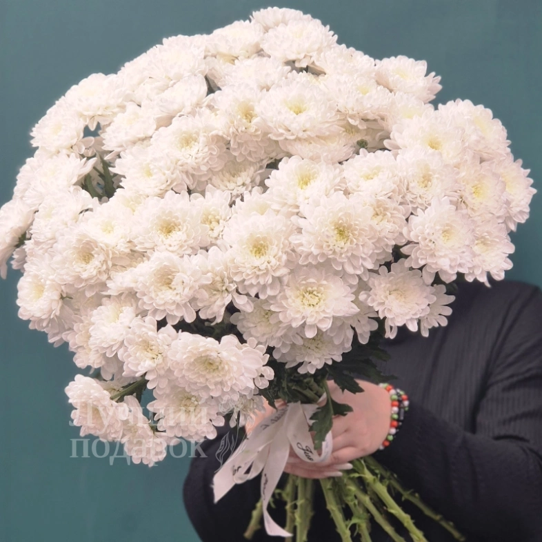 Кустовая хризантема, букет &laquo;Снежка&raquo;