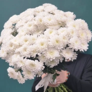 Кустовая хризантема, букет &laquo;Снежка&raquo; 2