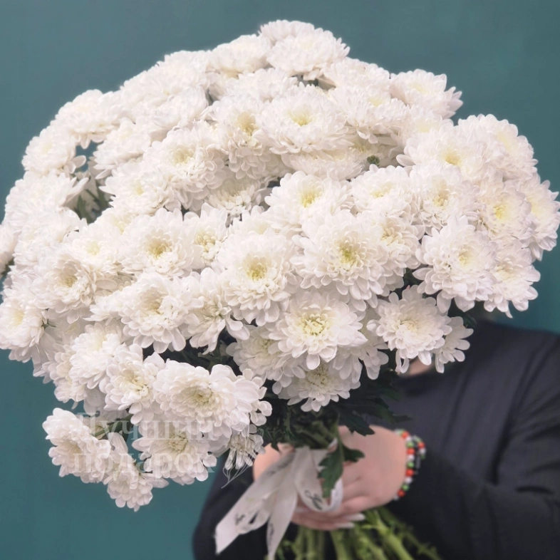 Кустовая хризантема, букет &laquo;Снежка&raquo;