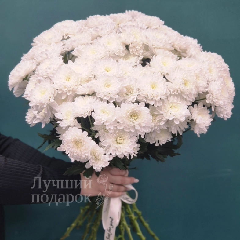 Кустовая хризантема, букет &laquo;Снежка&raquo;