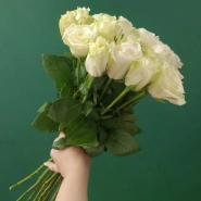 Роза белая &laquo;Найлинг&raquo; 2