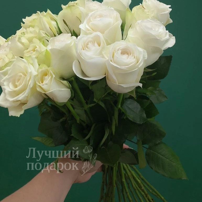 Роза белая &laquo;Найлинг&raquo;