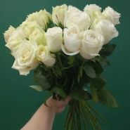 Роза белая &laquo;Найлинг&raquo; 3