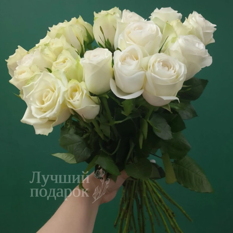 Роза белая &laquo;Найлинг&raquo;