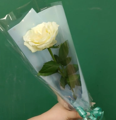 Белая роза «Одинокий цветок»