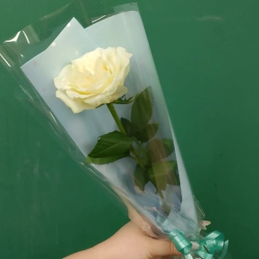 Белая роза «Одинокий цветок»